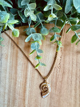 Charger l&#39;image dans la galerie, Collier coquillage 🐚