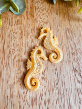 Charger l'image dans la galerie, Duo de pépites hippocampe (jaune doré paillettes)