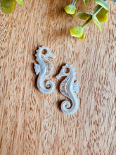 Charger l'image dans la galerie, Duo de pépites hippocampe (blanc doré paillettes)
