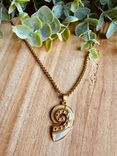 Charger l&#39;image dans la galerie, Collier coquillage 🐚