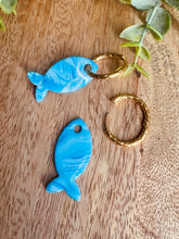 Charger l'image dans la galerie, Duo de pépites poisson