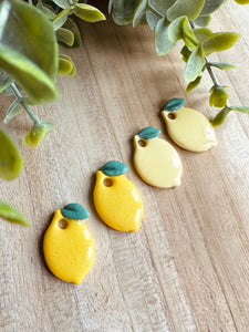 Duo de pépites 🍋 citron « acidulé »