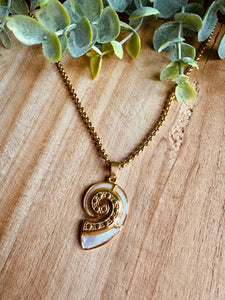 Collier coquillage 🐚