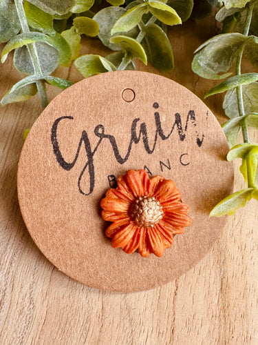 Pin’s en polymère
