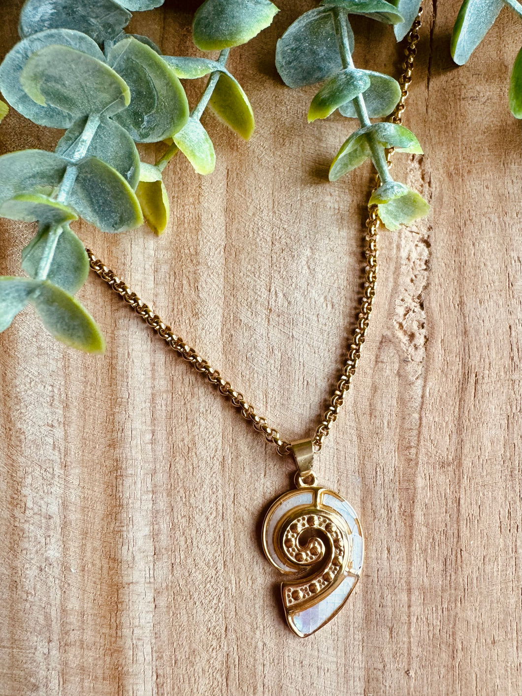 Collier coquillage 🐚