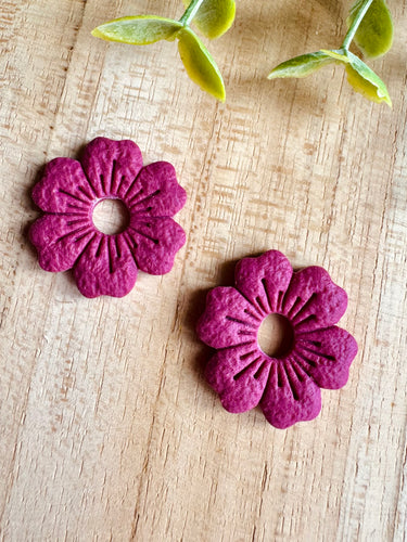 Duo de pépites (framboise)