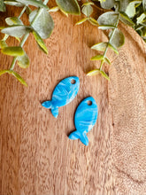 Charger l'image dans la galerie, Duo de pépites poisson