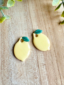 Duo de pépites 🍋 citron « acidulé »