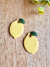 Charger l'image dans la galerie, Duo de pépites citron 🍋